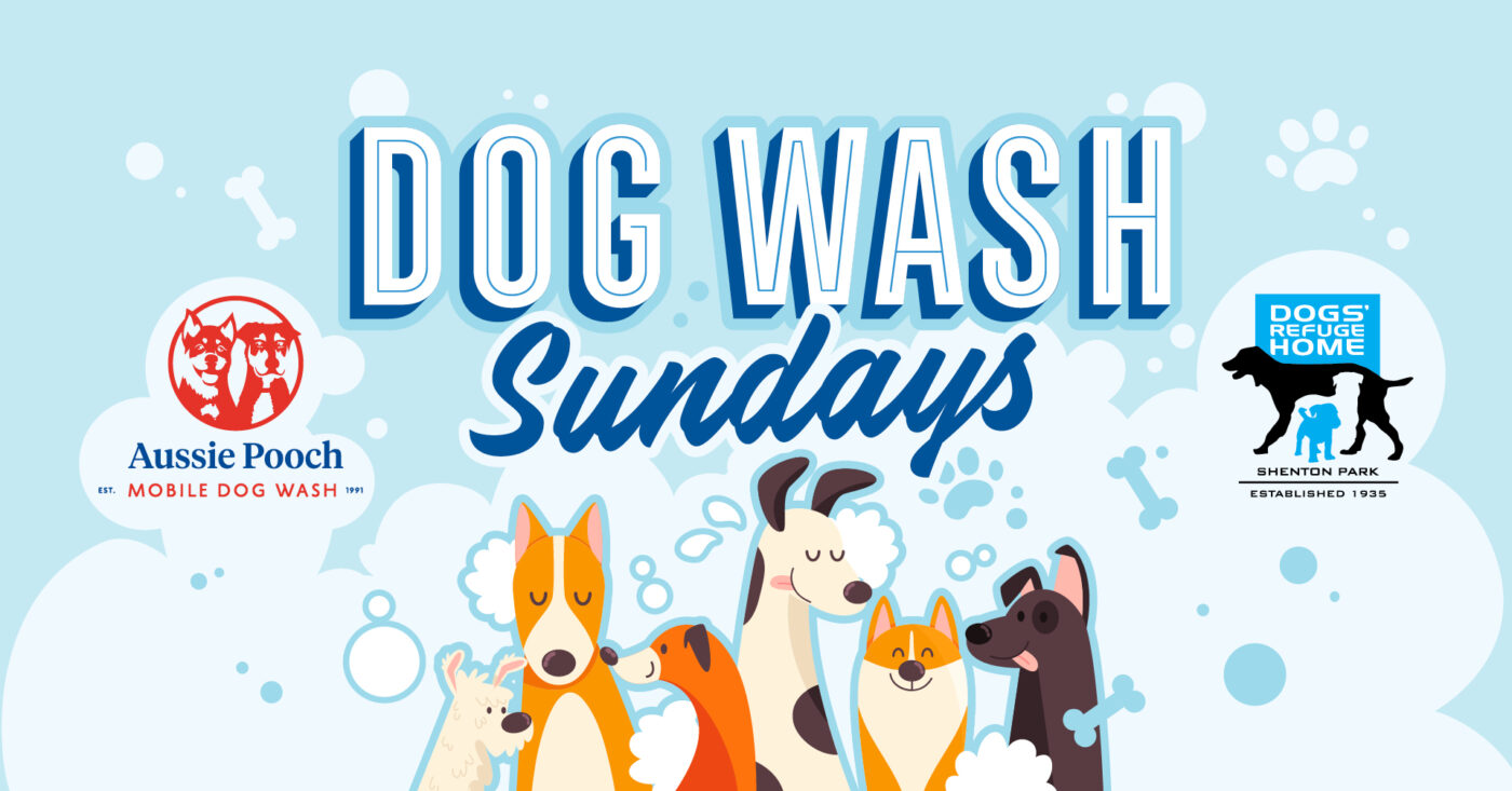 Dog Wash Sundays
